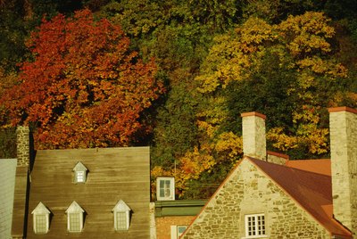 Roofs of houses by autumn trees