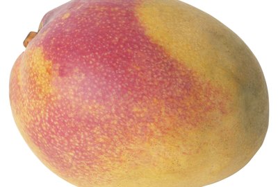 23573067
