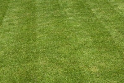 green grass