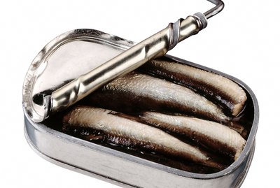 Sardines
