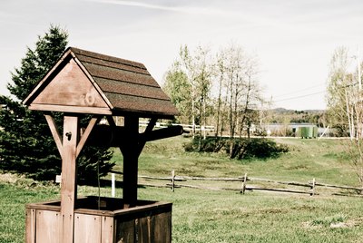 Decorative wishing well in yard
