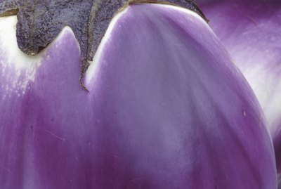 Close-up of eggplant