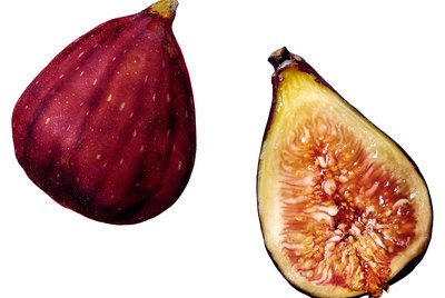 Figs