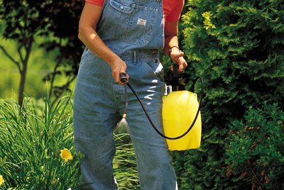 Woman with spray can in garden
