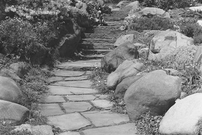 Footpath in rock garden, (B&W)