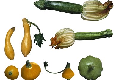 Assortment of squash
