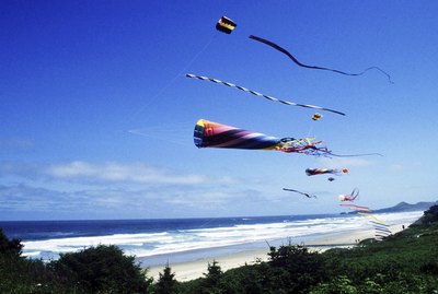 Kites flying on a beach
