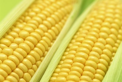 Corn