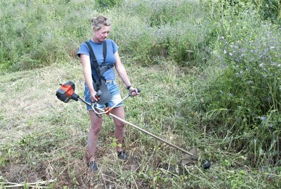 Strimmer
