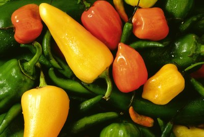 DIY guide for How to Pickle Peppers in the Refrigerator with step-by-step instructions