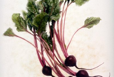 Bushel of beets