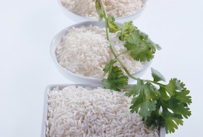 Rice plate and coriander on white background, close-up