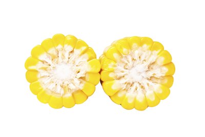 Sweet Corn isolated.