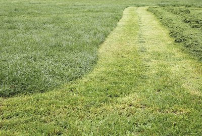 Track cut grass