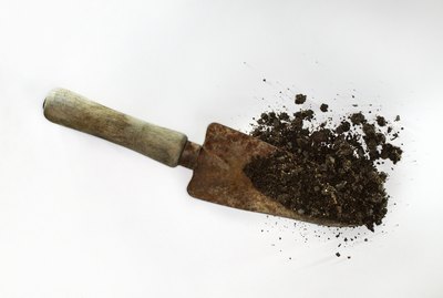 Spade with dirt