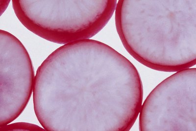Slices of radishes