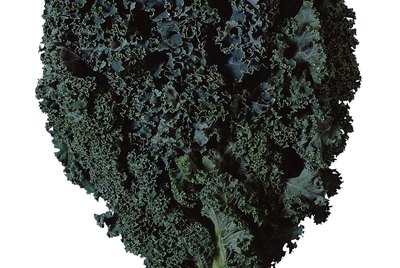 Kale
