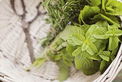 Fresh herbs