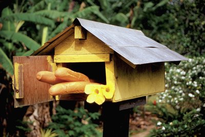Close-up of fresh baguette and yellow flowers in a wooden mailbox on an island, French Polynesia