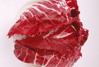 Radicchio leaf against white background, close-up