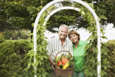 Couple with basket of fresh produce