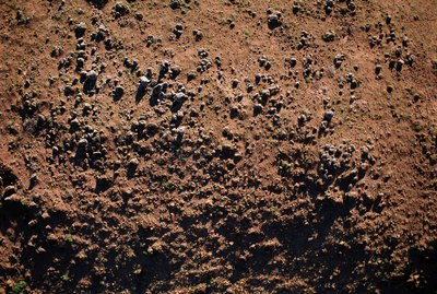 Dirt