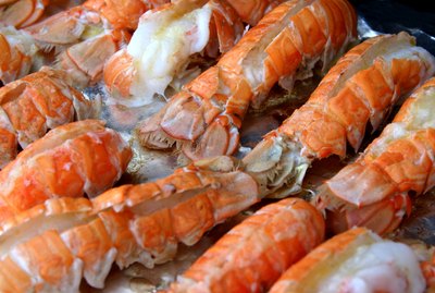 Lobster