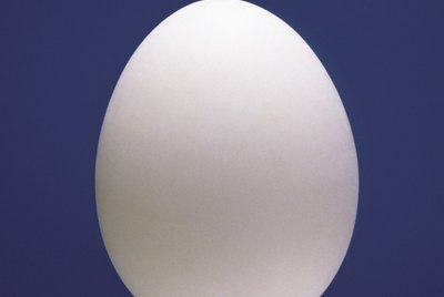Egg