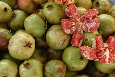 Tropical fruit