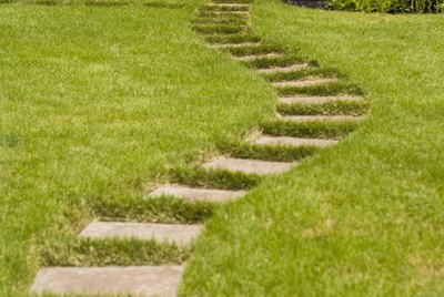 garden path