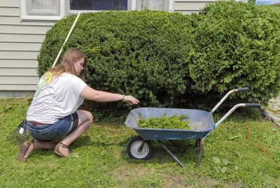 Teenager Helping with Yard Work