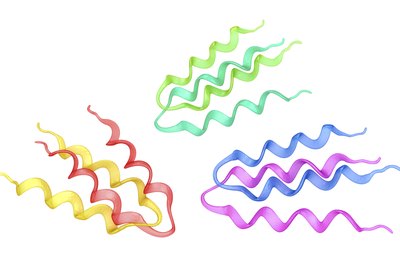Protein structure