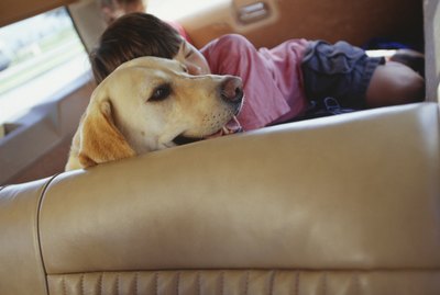 Girl (6-7) sleeping with dog in rear of station wagon