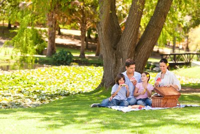 Cute family picnicking in the park