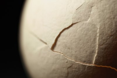Cracked Eggshell