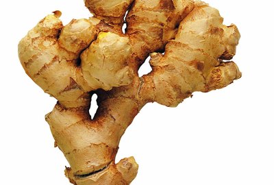 Gingerroot