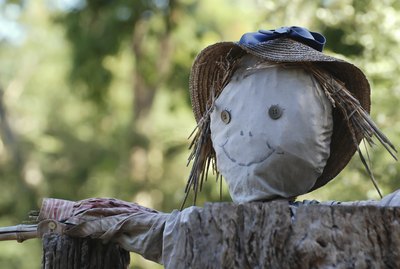 Scarecrow in a garden