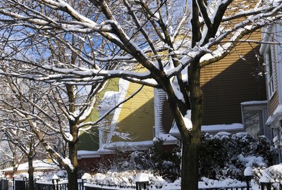 Winter street