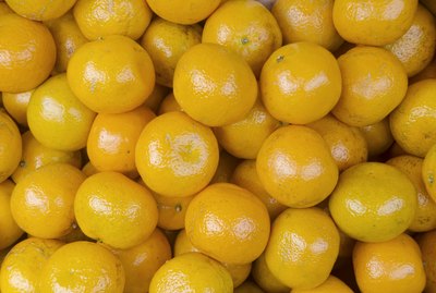 Ponkan Oranges