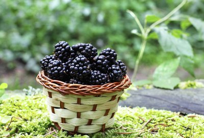 blackberry