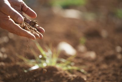 Man holding soil, close-up of hand