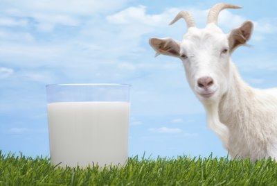Goat Milk