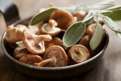 shiitake mushrooms