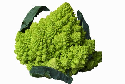 Close-up of romanesco