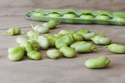 Seedcase lima beans.