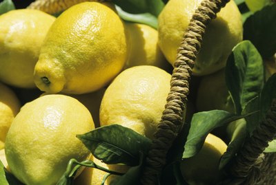 Lemons in basket, Murcia, Spain, close-up