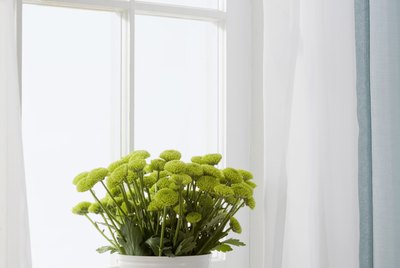 Flowers in vase on window sill