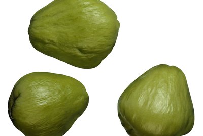 Squash