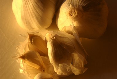 Cloves of garlic