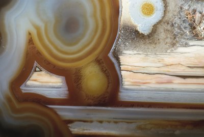 Cross section of a rock